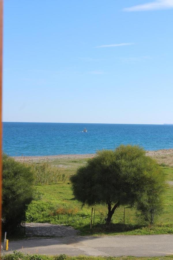 Villa El Sa Calopezzati Exteriör bild